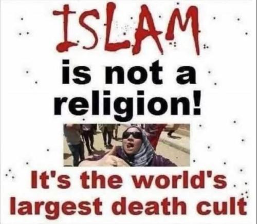 IMG_20260101_084009_560