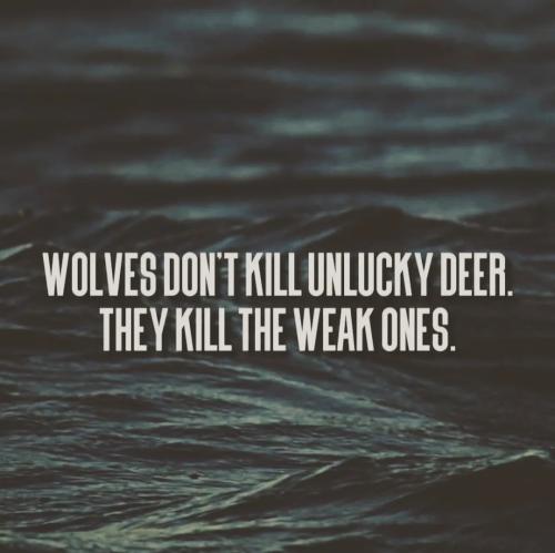 Screenshot_20260122_044316_Instagram