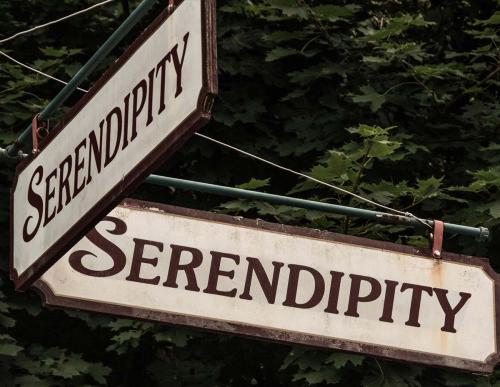 1A-Serendipity