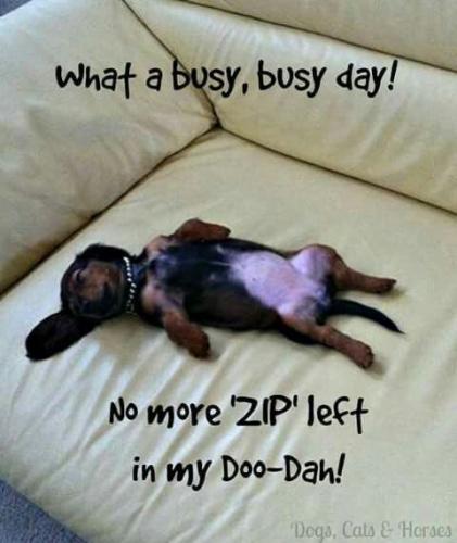 284c48c8d9a7bbde5eaec8c9e5aa72ef