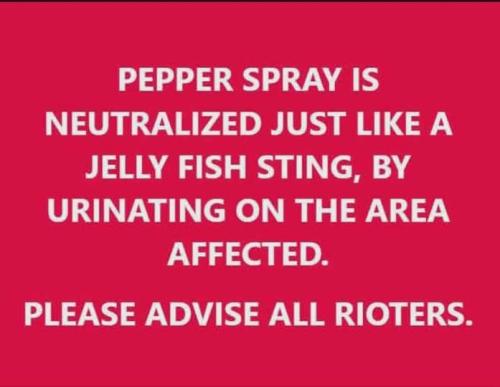 617834403_1419673976705304_3863673722465470950_n