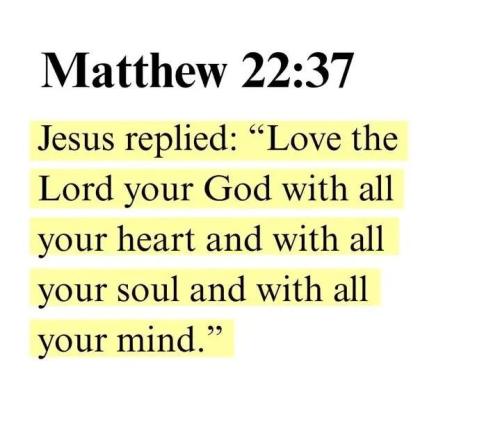 IMG_20260118_160029_649