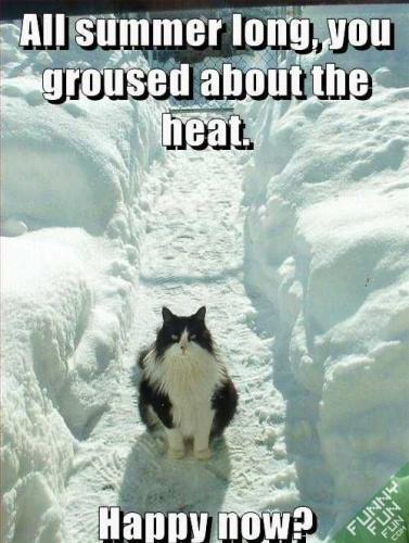 Vi3FP5Q5FHXIHcP8UVDv_06_10ff78cc547eea3cf17b9c8611ebfb02_image