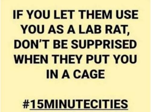 2d8a5a3d-69be-4d3a-98b6-fa61d8b1d835