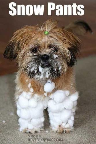 TUx5At44g2NAiNWE9Xvv_17_77aca6ac90cea173be3e21fe1308d708_image