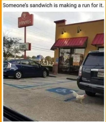 Screenshot_20260117_075550_Gallery