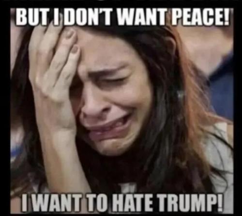 1769427946940408125483341813264_1026463668632442