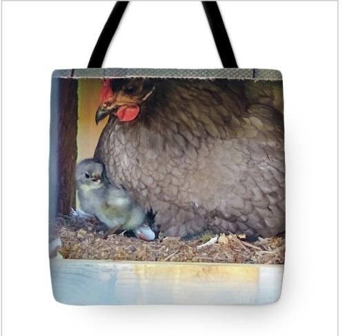 Screenshot_20260106_141846_Brave