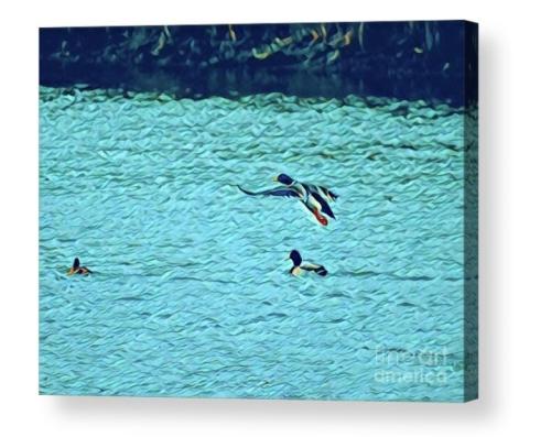 Screenshot_20260102_131405_Brave