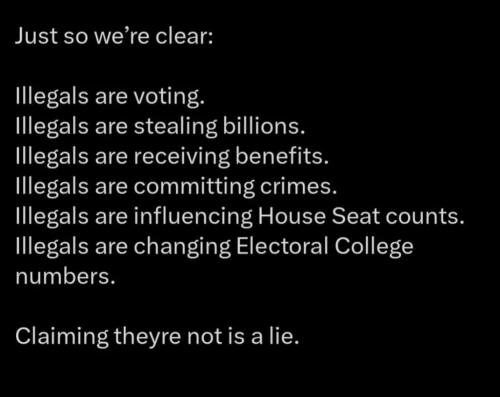 illegals-are-corrupting