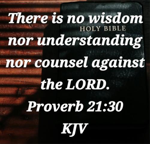 9cfeddfd-caf4-46c5-ad94-dfc858852662