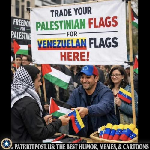 01KE7BMASZ29AN2P2ZYSN8C13J