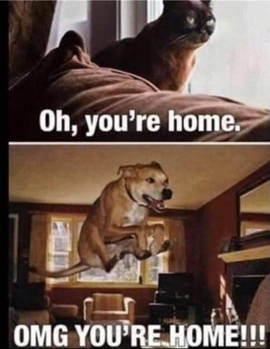 Screenshot_20260120_184956_Gallery