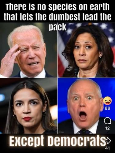 88D8070D-4B36-4BDA-B866-4E443C4A8BD6