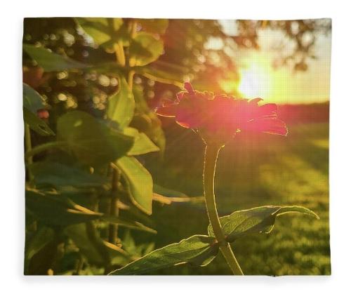 Screenshot_20260115_184415_Brave