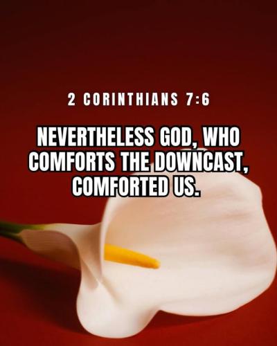 IMG_20260102_161300_720