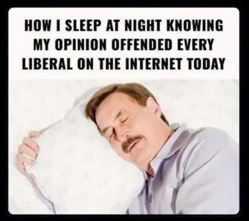 17670038267837792935453000400249_135614243293473