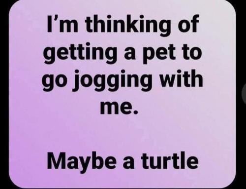 99df635497909ce24795037174df13cc