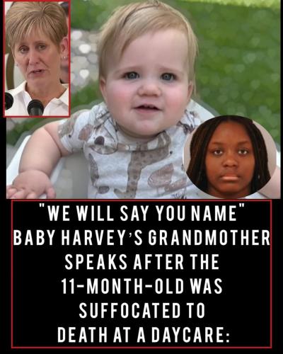 615833782_1518988126253587_8088234214557785378_n