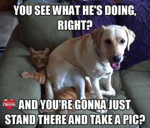 7c8c7250ef896f9634df64798b1c90ed