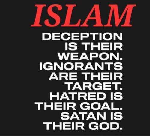 IMG_20260129_134859_556