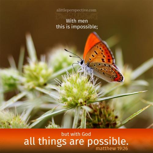 mat-19-26-KJV-pixabay-9x