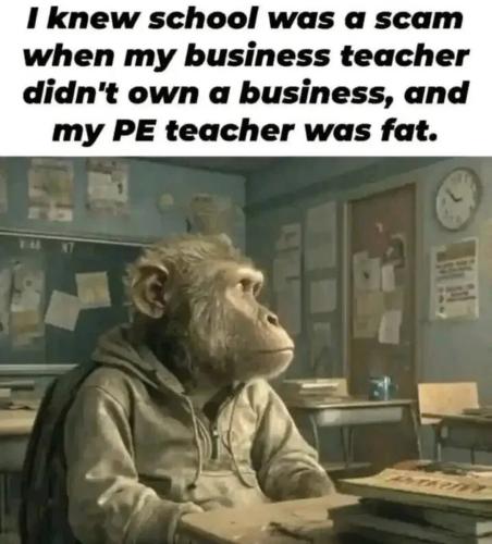 knew-school-was-scam