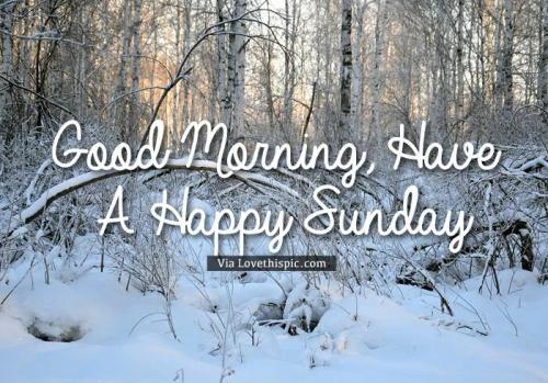 8fecf7bdf53ab9c0121d65245a512408