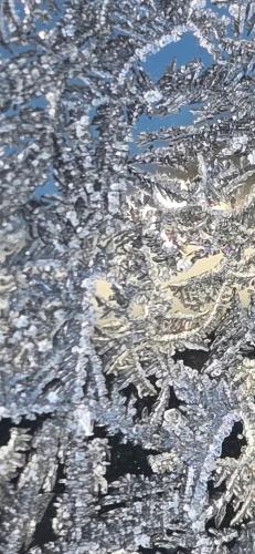 FB_IMG_1769443131288