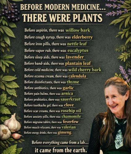 100203d397a9be74bde891ce4d3820f7