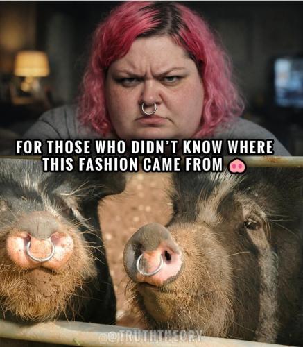 image_B3448DB2-6EF1-46D6-8CED-B0E20F8245BC