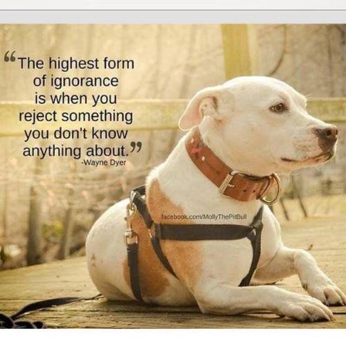 58a741cec6eef84425eed4b0f6f391f7