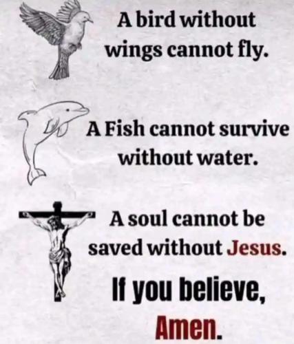 b7274b0f-cab3-4475-8246-a03c439842b9