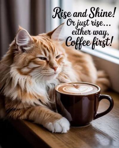 617534476_813185665109454_7294977998058393191_n