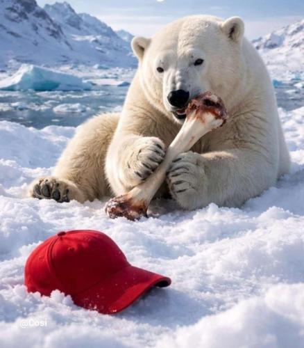 616576488_122147472908958899_1622645456569616236_n