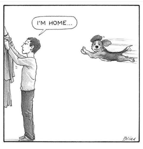 4debd2fd6d342de19629a17efce7dc10