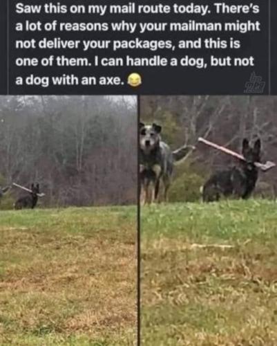 main-qimg-e987ddd0a69e2c5bcd0740e8eaa5b3fa