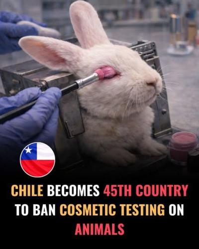 615332741_122171965244831494_841545579122021166_n