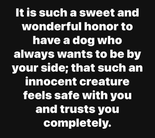 44409f09d6929c6dfdf978a2d051039a