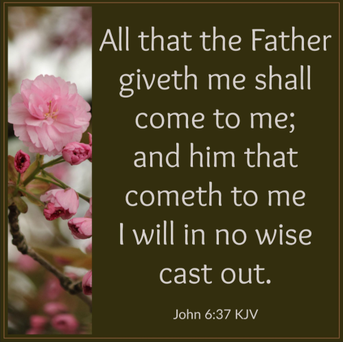 Screenshot_20260114-180421-410