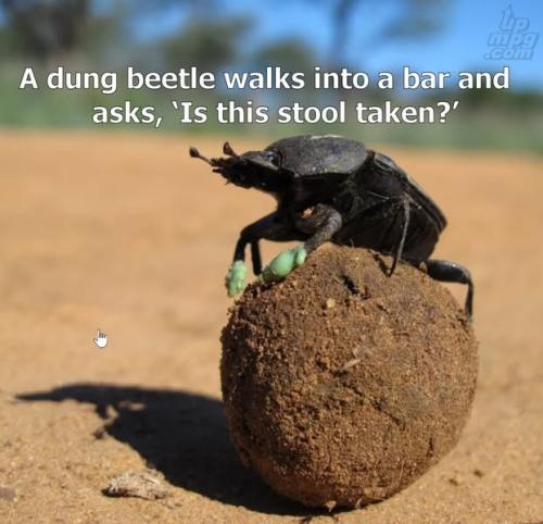 main-qimg-91895f6b88643aa61123c4b7c25eb5fe