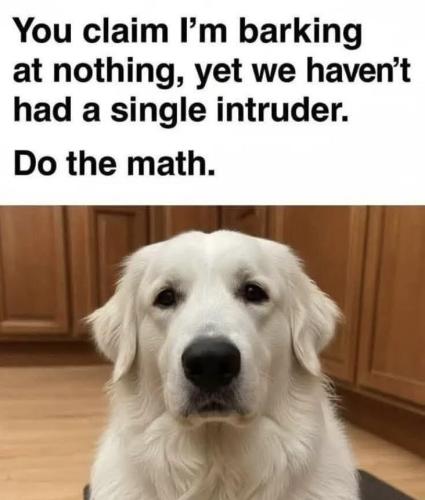 057b5d81-76a9-4c87-b903-75c3c6d5e55b