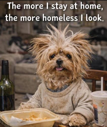 IMG_20260115_114153_278