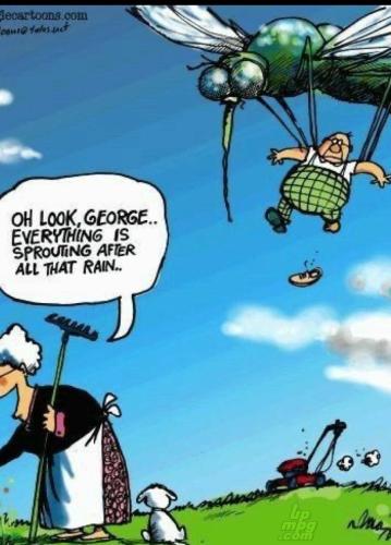 main-qimg-b4163e7e6712c6e6d6e1e87635d99b31