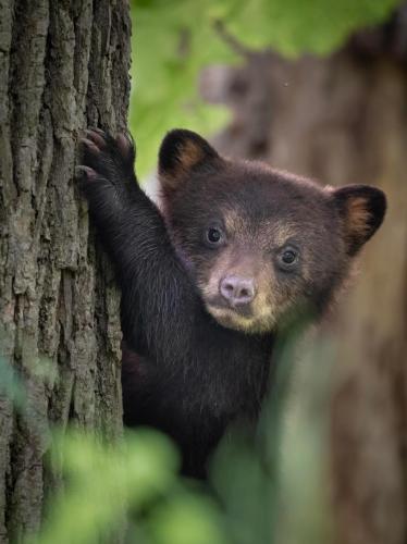 RDT_20260101_0805512975084720327356768