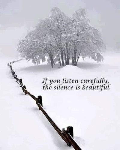 622818138_10241878332680654_6918555161007861164_n