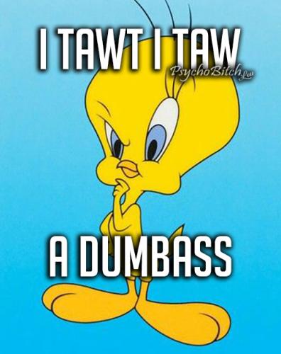 624560211_936019312184013_1973190062663921272_n