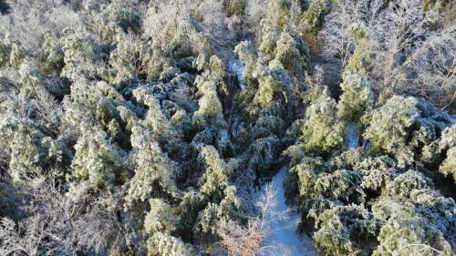 dji_fly_20260126_155918_81_1769464802278_photo_optimized