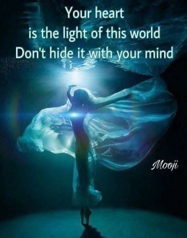 ,       ,     424899179_74878085712