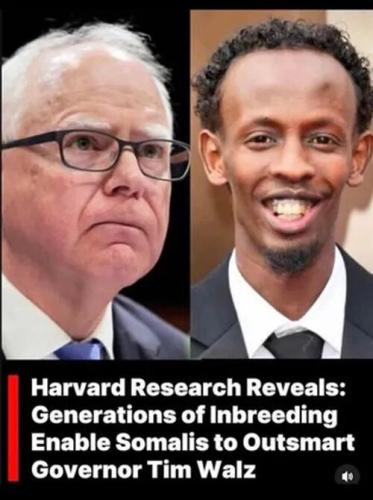 inbreeding-enables-somalis-outsmart-walz